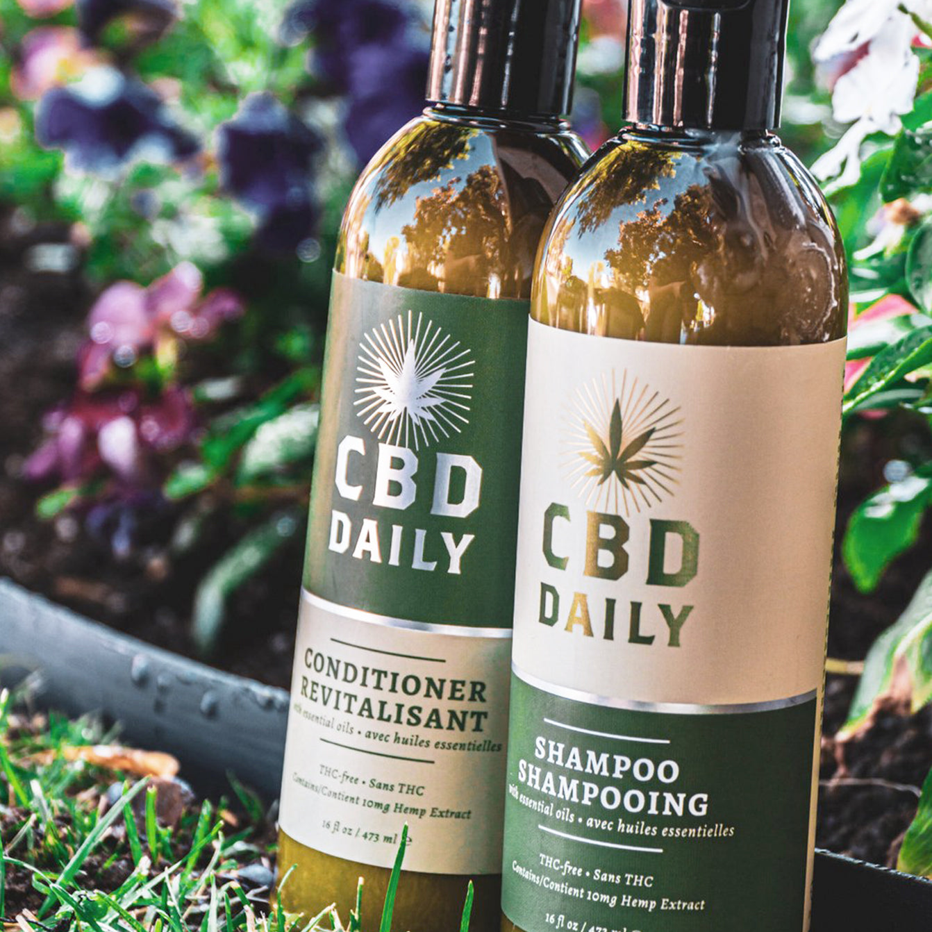 CBD Daily Official Distributor – Tagged 