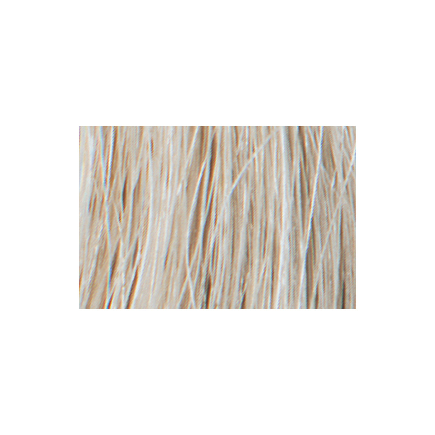 Best Professional Tressa Colourage Gel Super Ultra Light Blondes