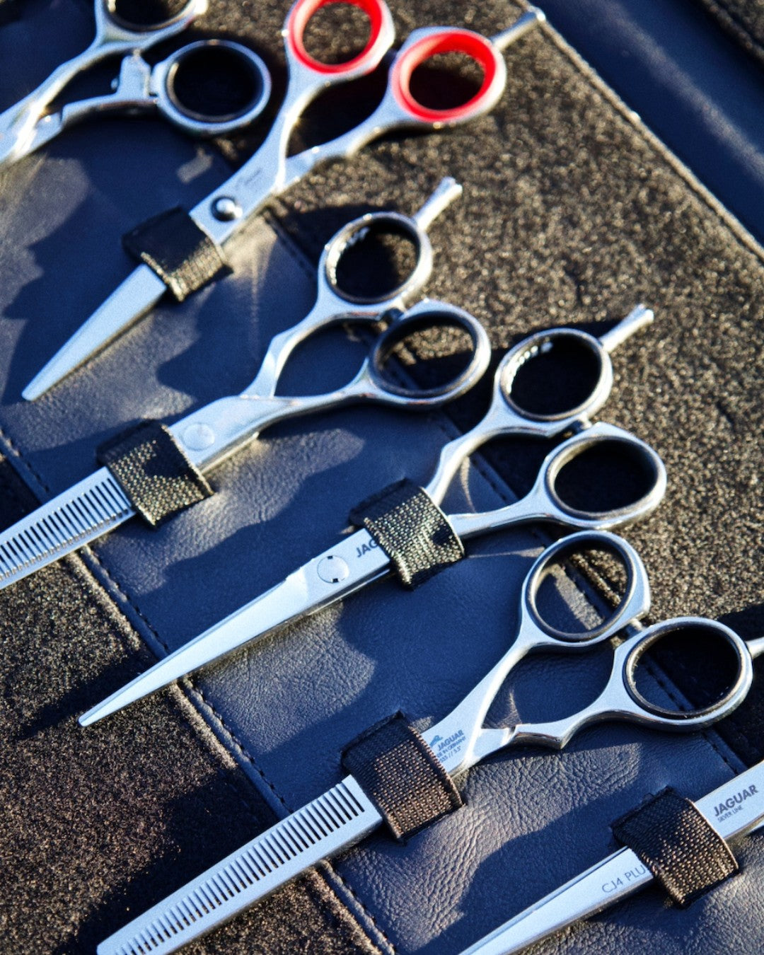 Best Professional Jaguar  Silver Line CJ4 Plus