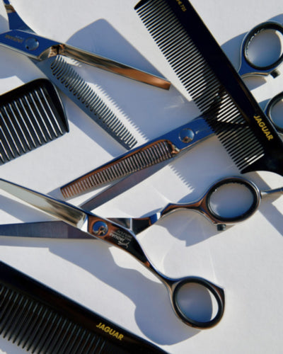 Best Professional Shears Jaguar Pre Style Relax Slice Offset