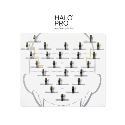 HALO Pro Salon Laminated Placement Sheet