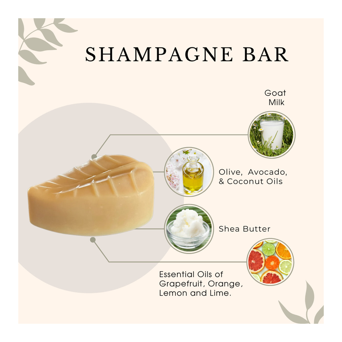 Lis´N Shampagne Bar